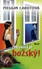 Detail titulu Môj sused je božský!