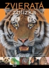 Detail titulu Zvieratá zblízka