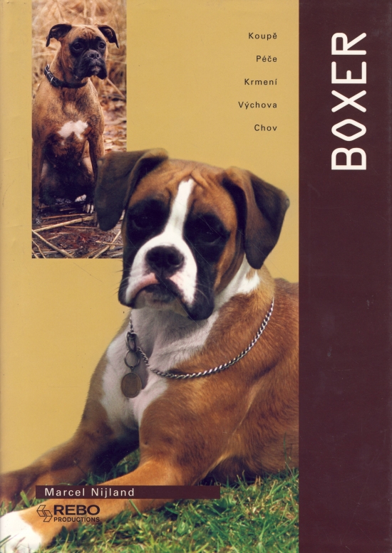 Boxer