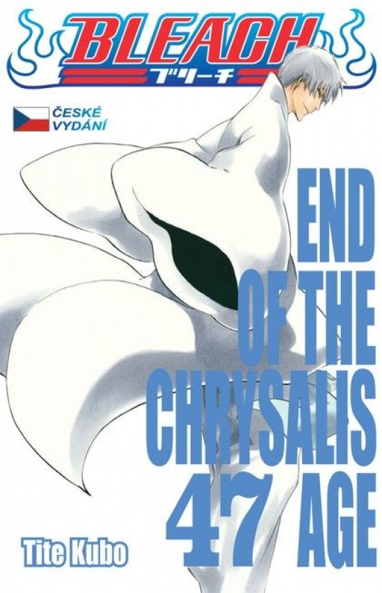 Bleach 47