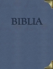 Detail titulu Biblia (s kovovými rožkami)