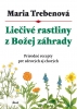 Detail tovaru Liečivé rastliny z Božej záhrady