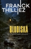 Detail titulu Bludiská