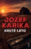 Detail titulu Kruté leto