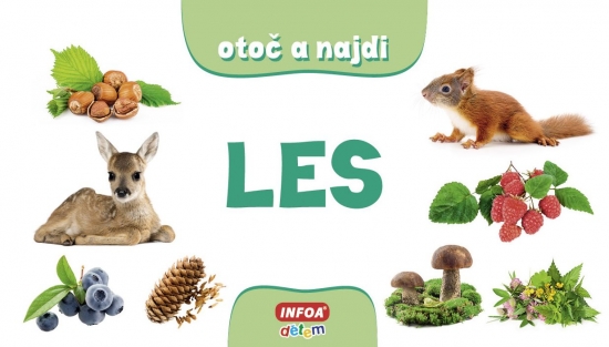 Otoč a nájdi - Les