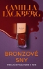 Detail titulu Bronzové sny